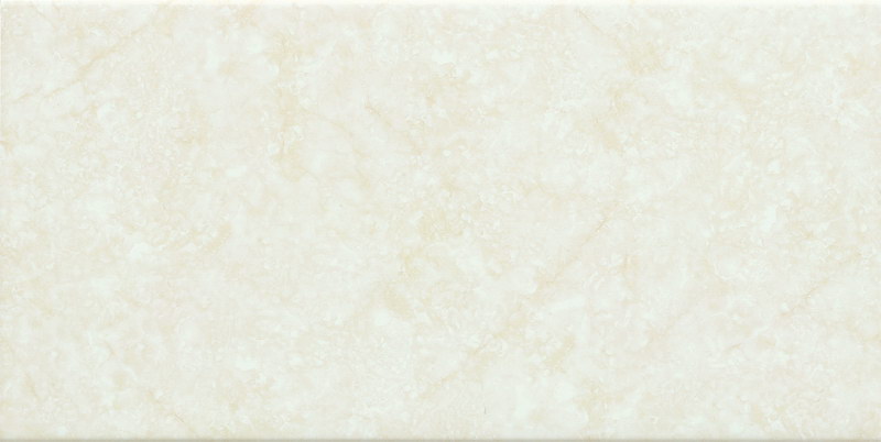 2E60722(300x600mm)